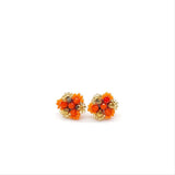 Aretes Bran