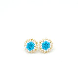 Aretes Anu