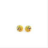 Aretes Anu