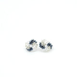 Aretes Anu