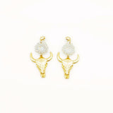 Aretes Texas